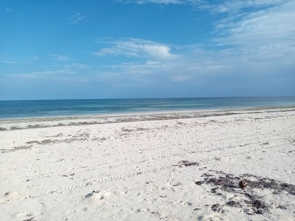 The coast at Kilifi